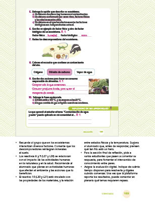 page 193