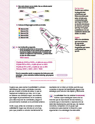 page 215