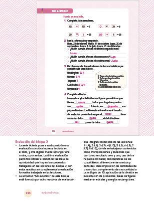 page 234