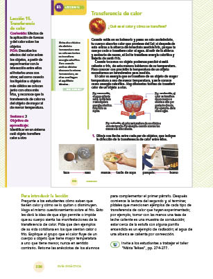 page 236
