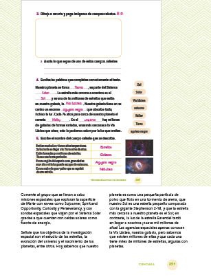 page 251