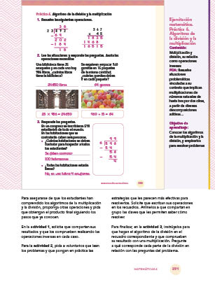page 291