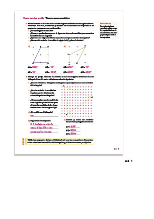 page 224