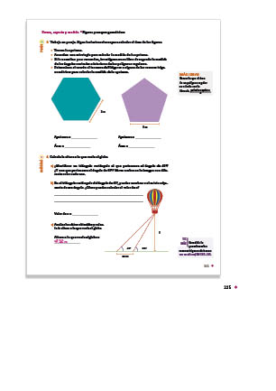 page 226
