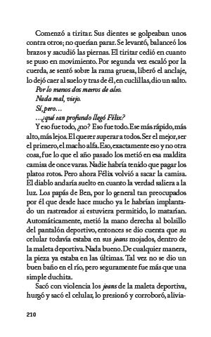 page 210