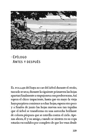page 229