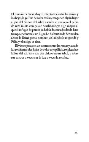 page 231