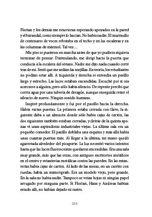 page 213