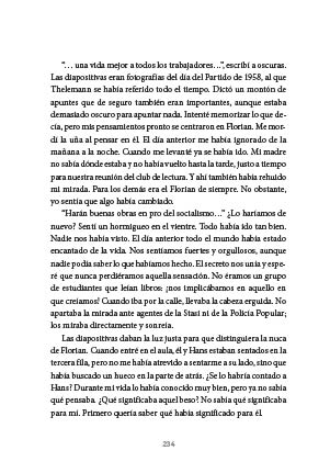page 234
