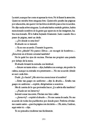 page 293