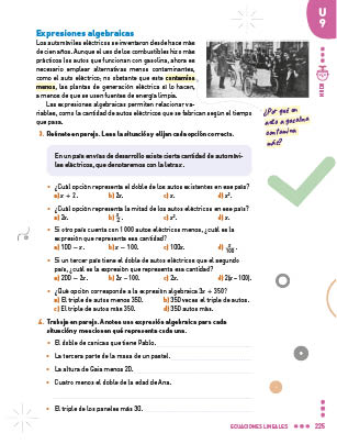 page 225