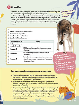 page 261