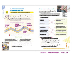 page 249