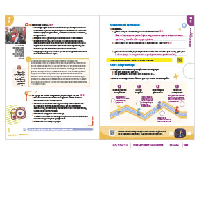 page 251
