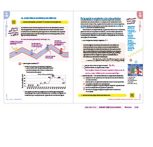 page 263