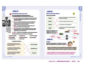 page 275
