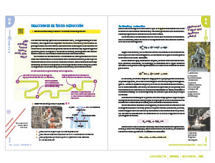 page 202