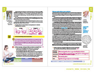 page 215