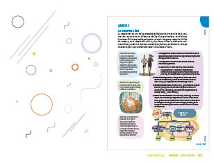 page 232
