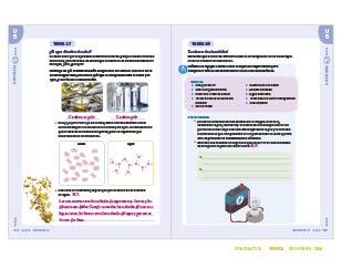 page 244
